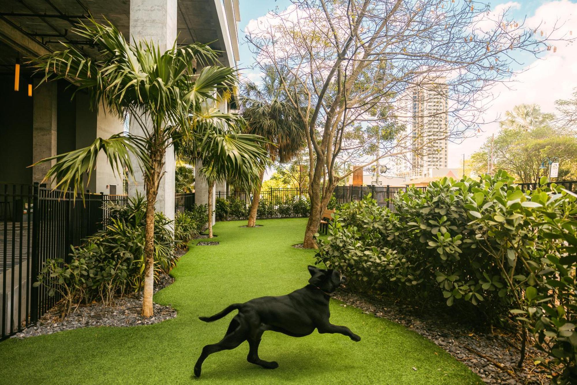 Flow Fort Lauderdale Hotel Eksteriør billede